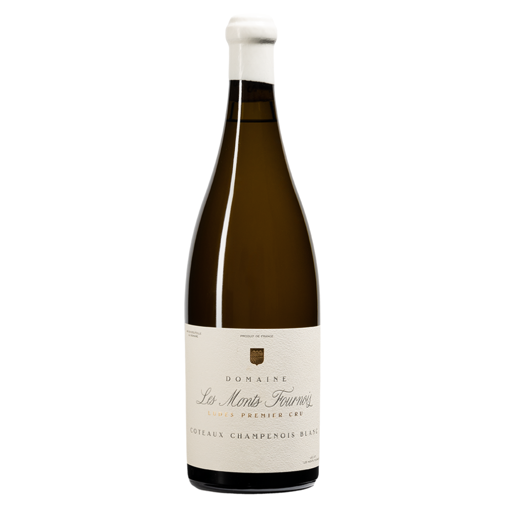 2022 Domaine Les Monts Fournois, Coteaux Champenois Blanc Premier