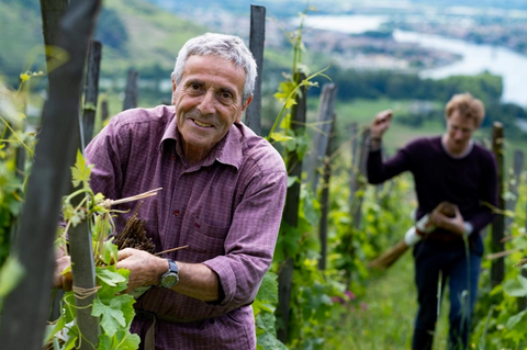 In Conversation with: Wine Source x Domaine Chifflet