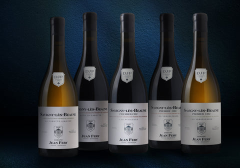 In Conversation with: Wine Source x Domaine Jean Féry