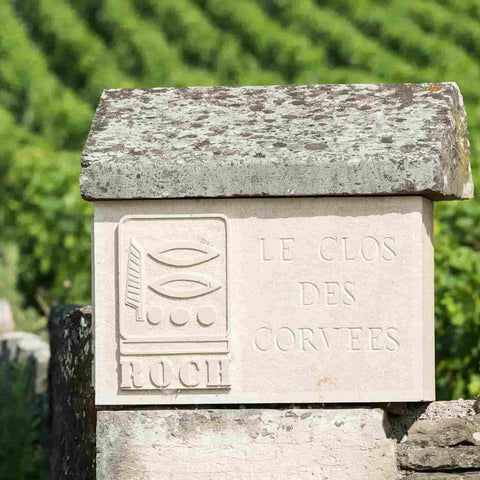 In Conversation with: Wine Source x Domaine Prieuré Roch