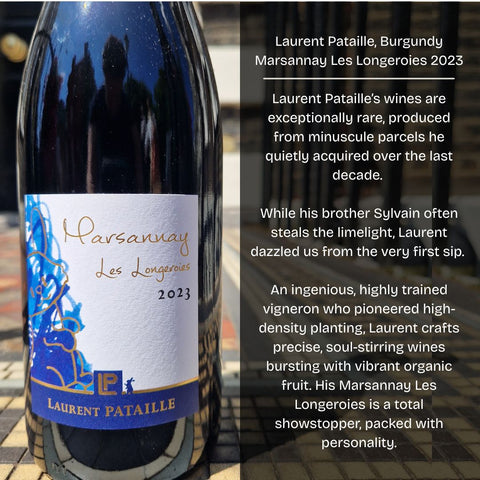 Discovery Case: Champagne vs. Burgundy