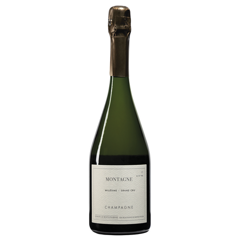 2013 Domaine Les Monts Fournois, Montagne Verzy Grand Cru