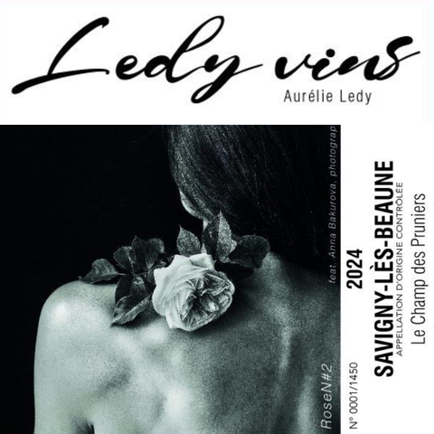 Ledy Vins - Burgundy