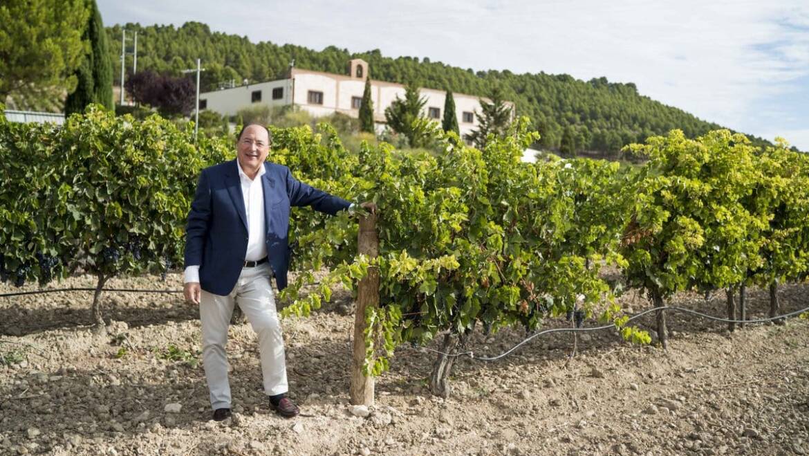 Grupo Matarromera, Ribera del Duero, Spain