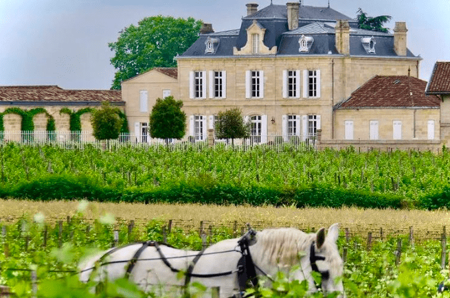 Château Nenin, Pomerol