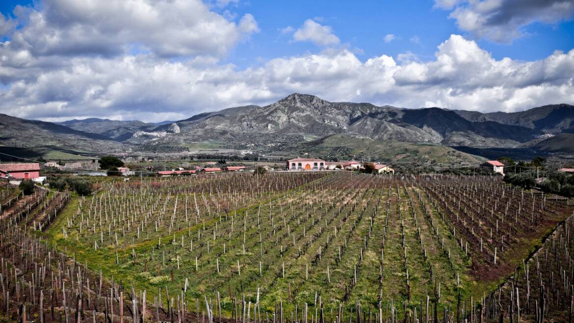 Tenuta Delle Terre Nere, Etna, Sicily