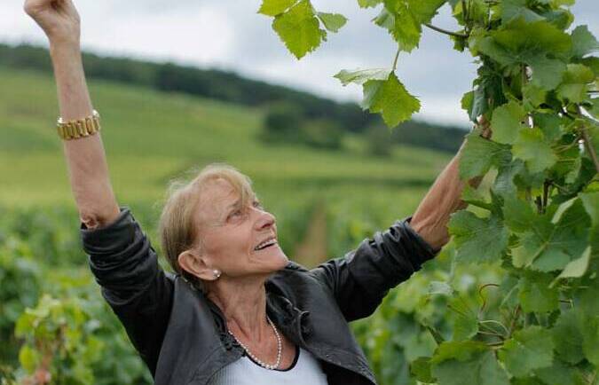 Domaine and Maison Leroy