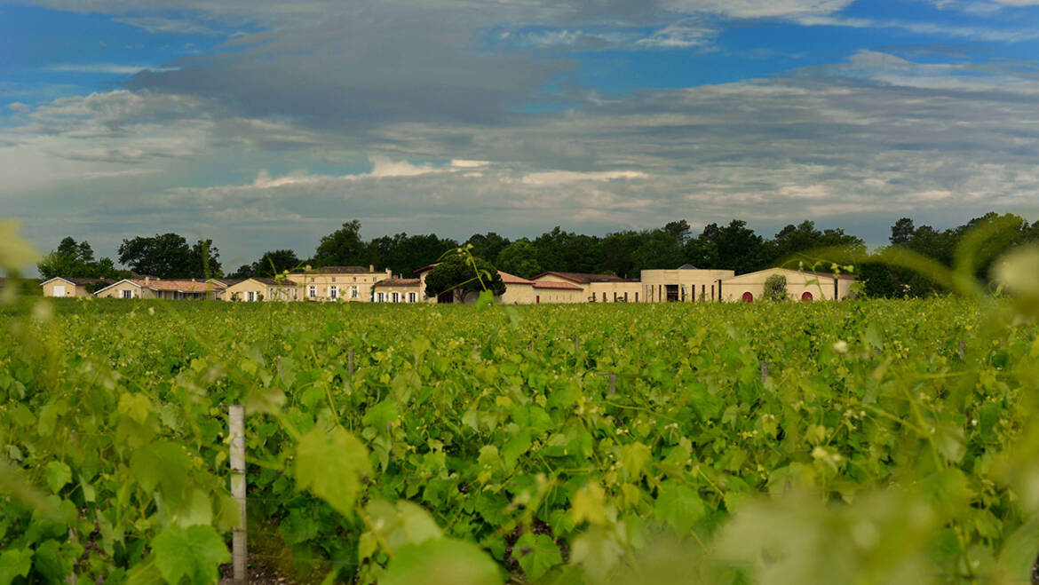 Domaine De Chevalier, Pessac-Léognan