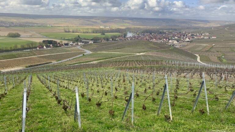Champagne Georges Laval, Cumières