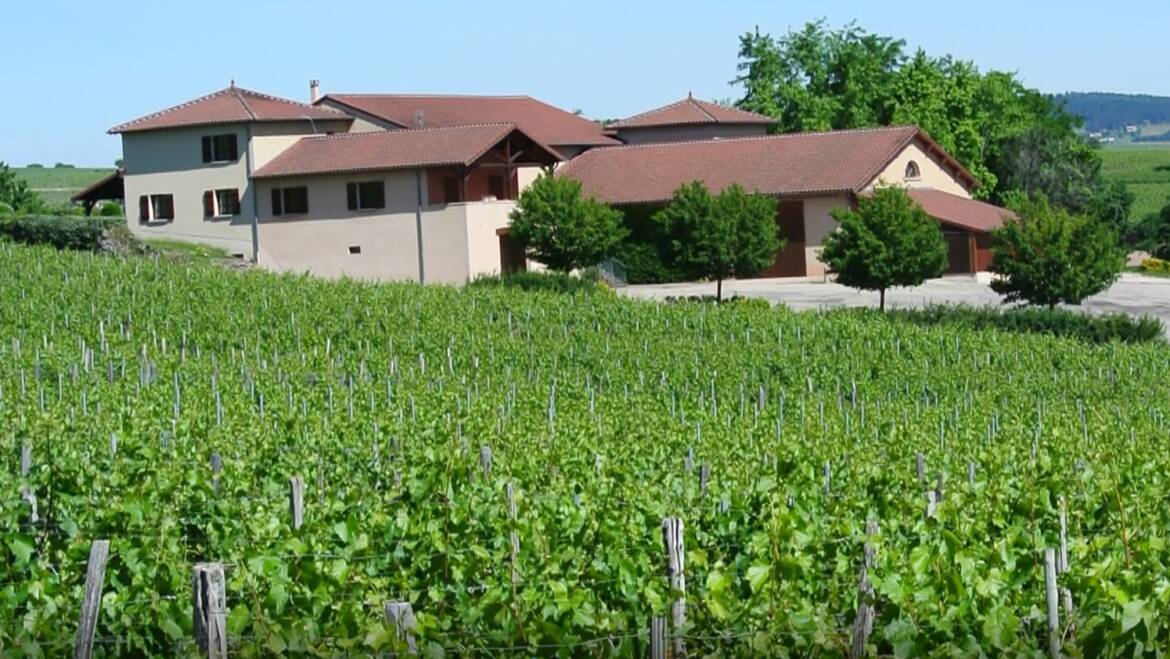 Domaine Montirius, Rhône Valley