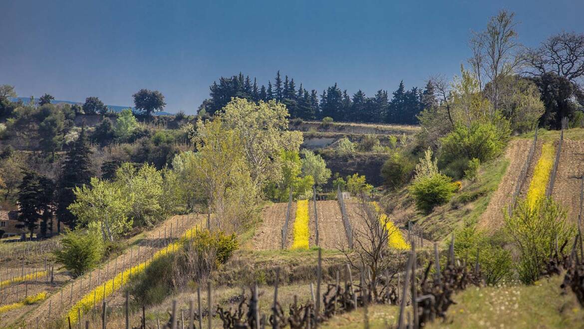 Domaine Montirius, Rhône Valley