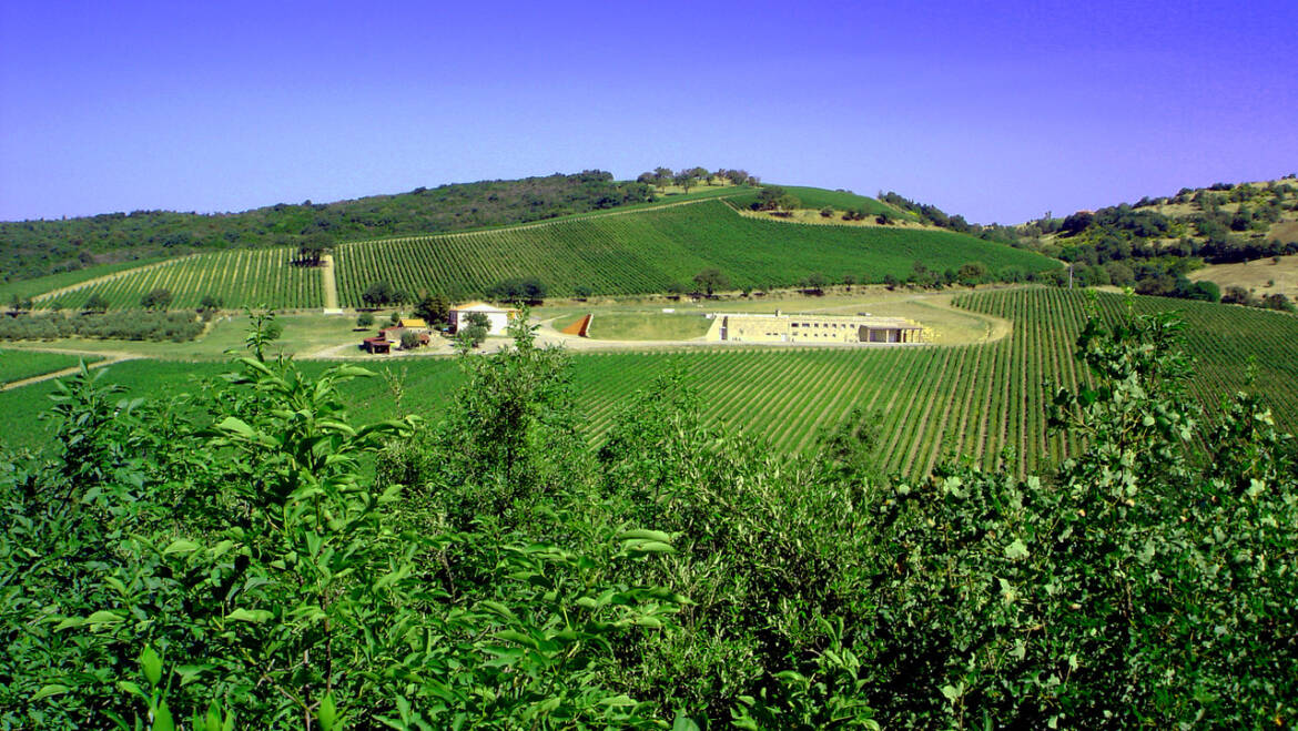 Tenuta Poggio Verrano, Maremma, Tuscany