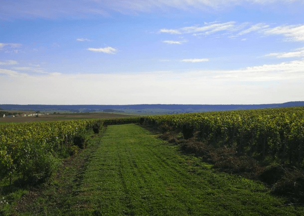 Champagne Emmanuel Brochet, Villers-Aux-Nœuds