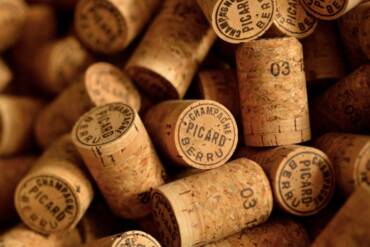 Top Champagne: Don’t miss your Christmas delivery