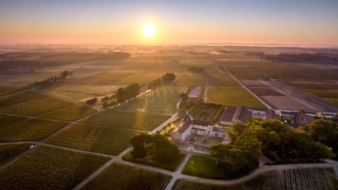 Chateau d’Yquem: 2020 Vintage Release