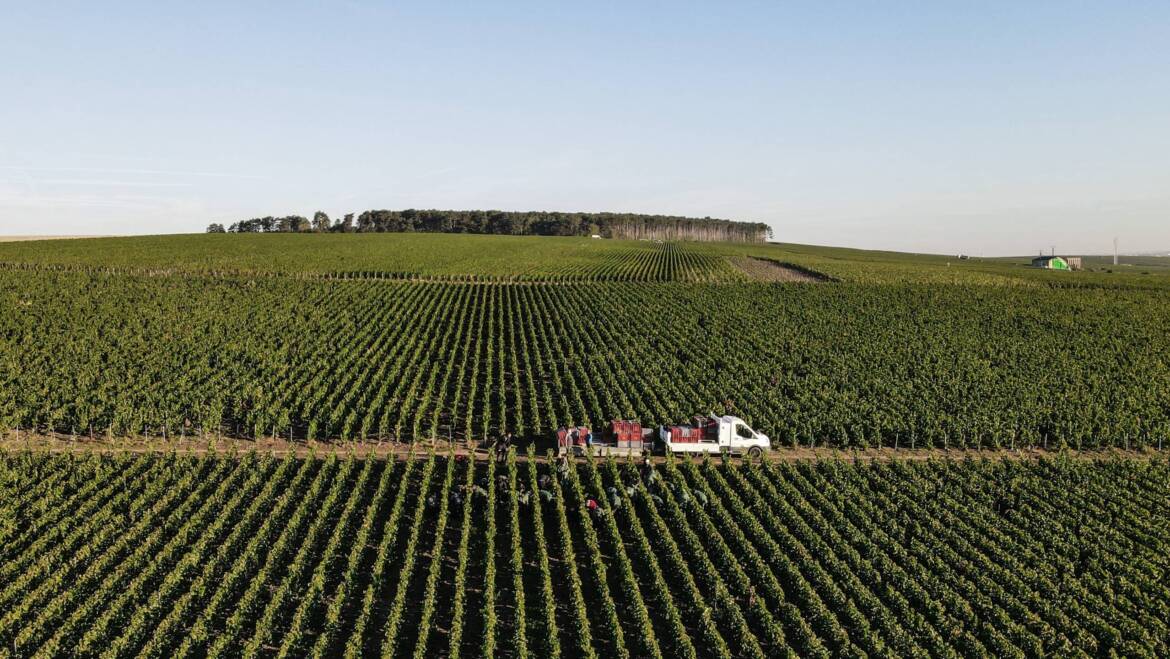 Domaine Les Monts Fournois, Ludes, Marne