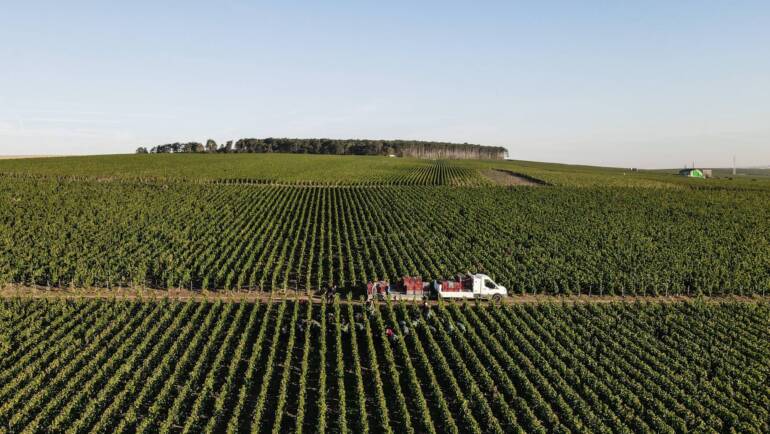 Domaine Les Monts Fournois, Ludes