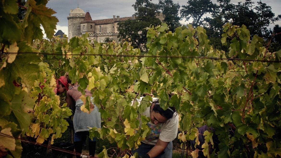 Bordeaux En Primeur: 2022 Saint-Emilion Grand Cru