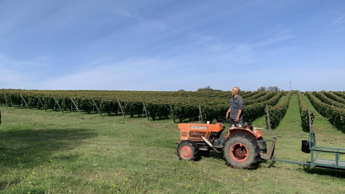 Domaine Takahiko, Hokkaido