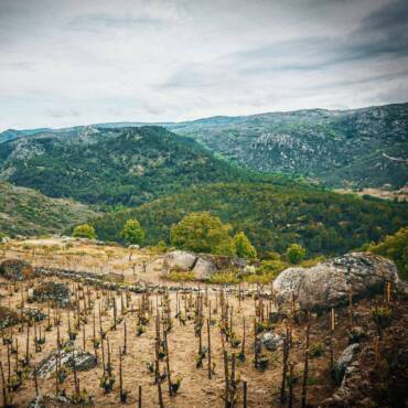 Comando G Rozas 1er Cru 2021 Sierra de Gredo