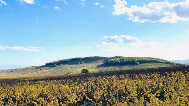 Le Vignoble du Rêveur, Bennwihr