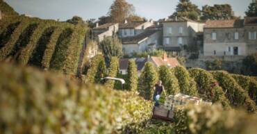 Bordeaux EP 2024 – Château Ausone
