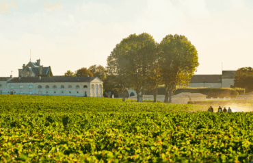 Bordeaux EP 2024 – Château Mouton Rothschild